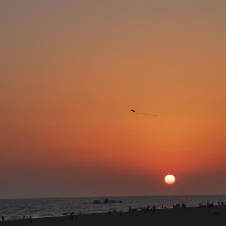 Apartament Entre Pinos Y Playa Matalascañas Zewnętrze zdjęcie