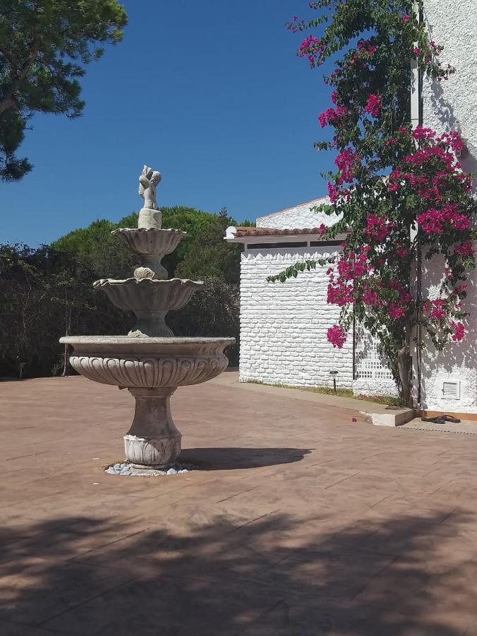 Apartament Entre Pinos Y Playa Matalascañas Zewnętrze zdjęcie